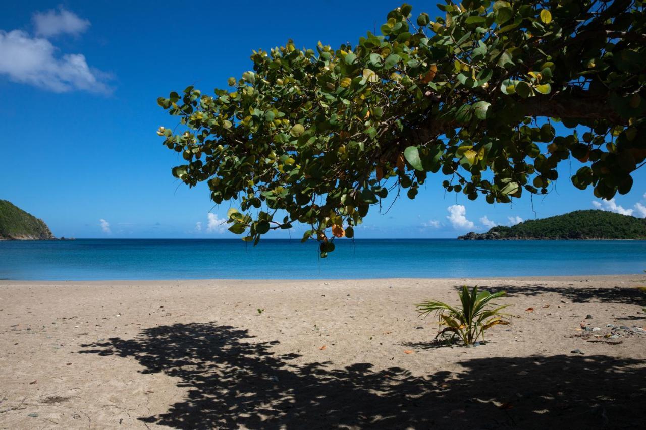 Icis Villas Brewers Bay エクステリア 写真